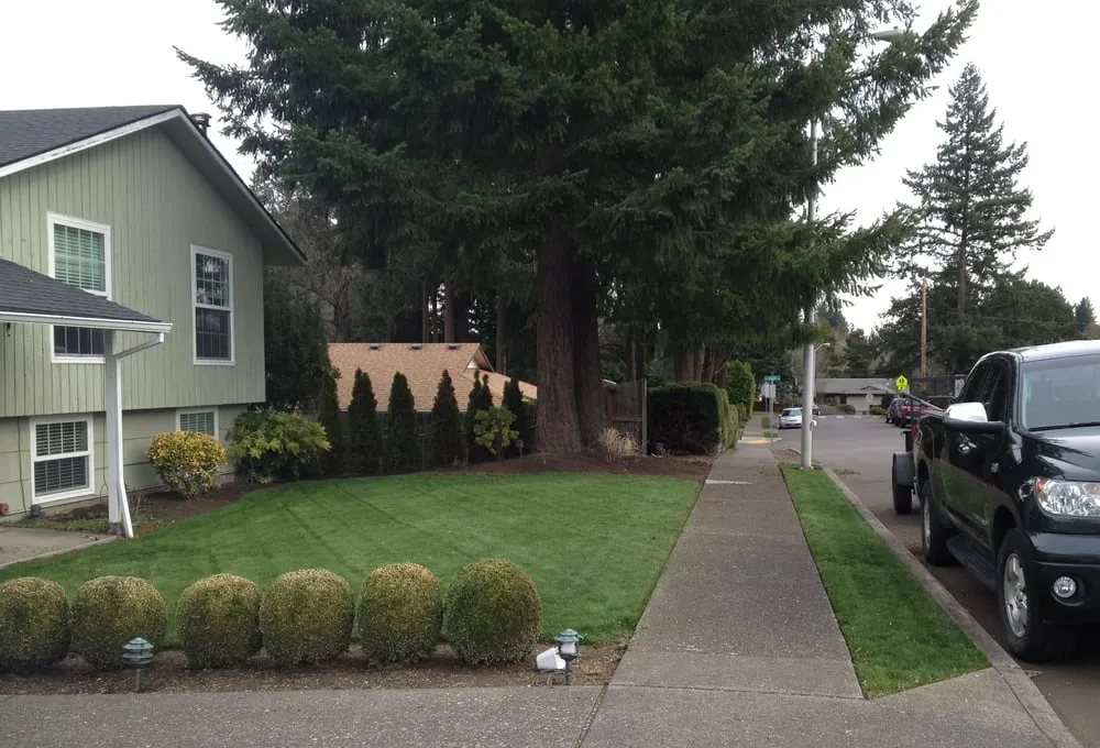 Local landscaping services in Hillsboro, OR by Pacheco Landscape Maintenance