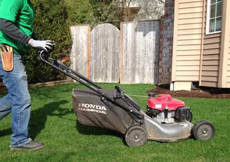 Pacheco Landscape Maintenance Logo