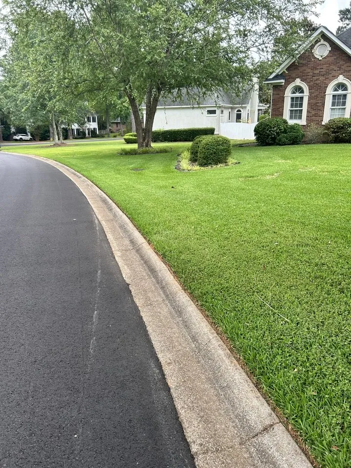 Affordable lawn mowing service in Cayce, SC by Pacheco Landscaping