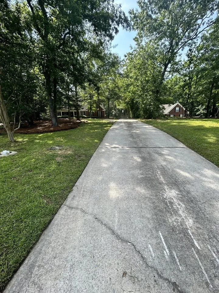 Local landscape installation experts serving Cayce, SC - Pacheco Landscaping