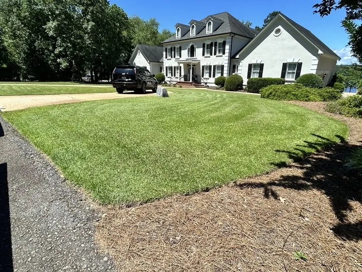 Trusted landscaping services for outdoor upgrades in Cayce, SC by Pacheco Landscaping