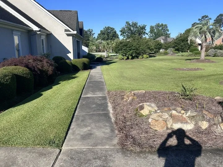 Trusted outdoor landscaping for homes in Cayce, SC by Pacheco Landscaping