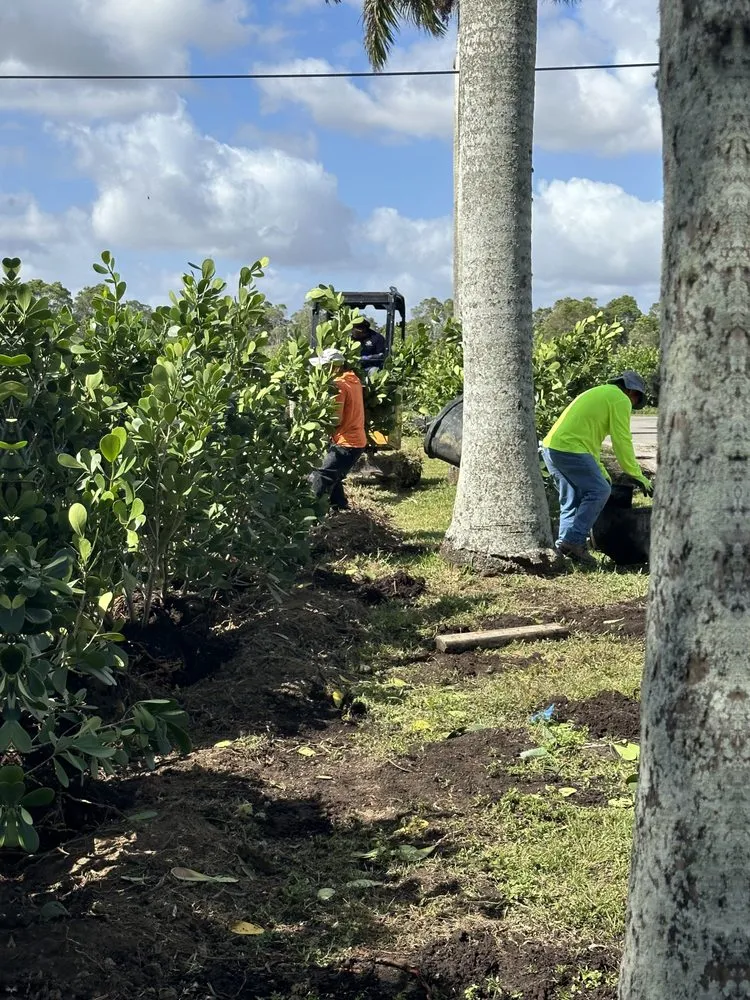 Top-rated landscape design for residential properties in Homestead, FL by Pacheco Landscaping