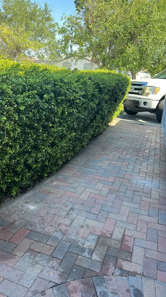 Trusted lawn mowing service for homes across Homestead, FL - Pacheco Landscaping