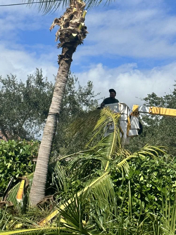 Trusted landscaping services in Homestead, FL by Pacheco Landscaping