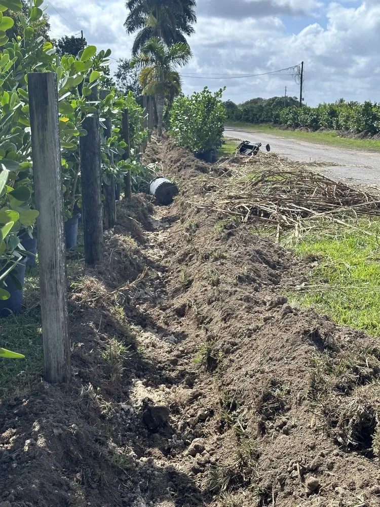 Professional lawn mowing service experts serving Homestead, FL - Pacheco Landscaping