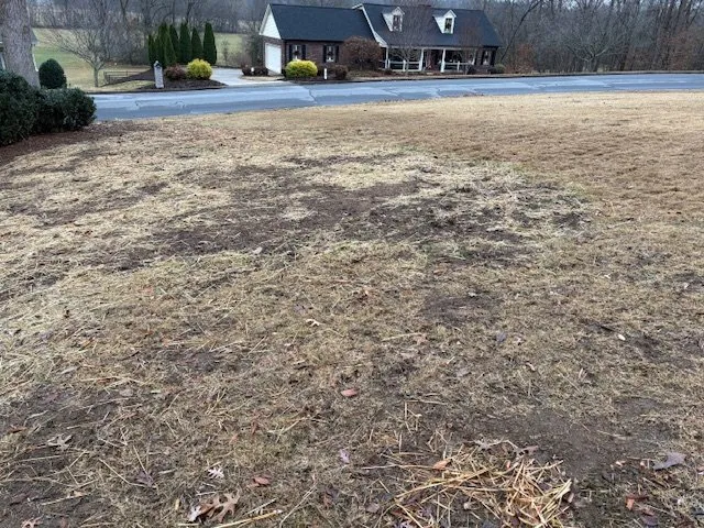 Custom residential landscaping in Kannapolis, NC by Pacheco Landscaping