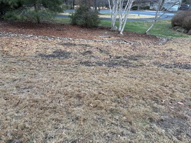 Reliable lawn care service in Kannapolis, NC - Pacheco Landscaping