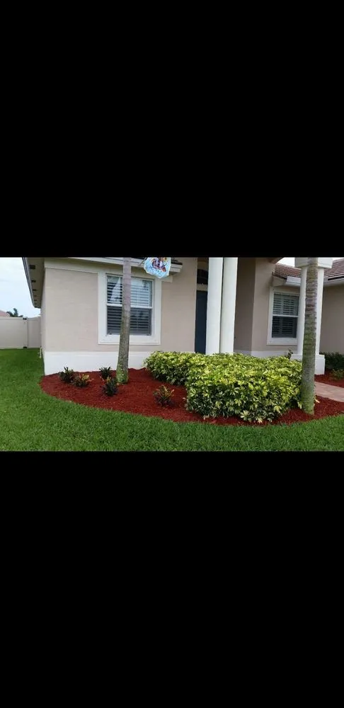 Reliable lawn mowing service for residential properties across Port St. Lucie, FL - Pacheco landscaping &lawn maintenance