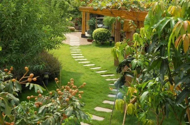 Custom lawn mowing service experts serving Port St. Lucie, FL - Pacheco landscaping &lawn maintenance