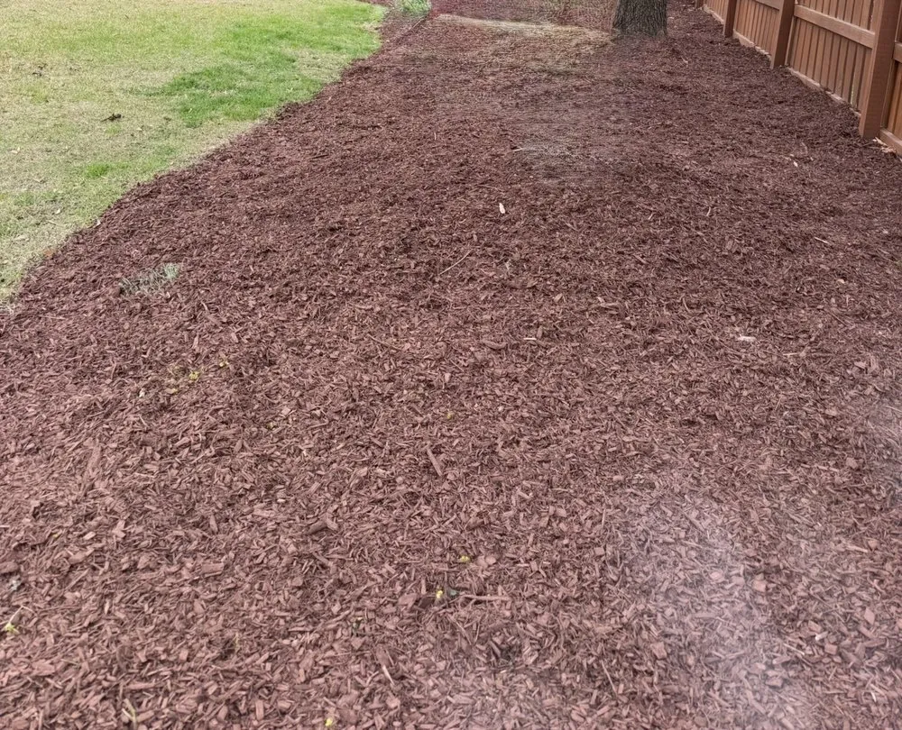 Professional yard maintenance for beautiful yards across Knightdale, NC - Pacheco Lawn Maintenance