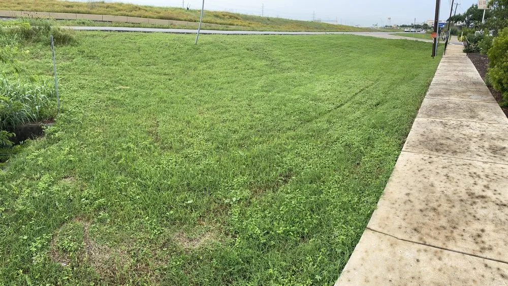 Professional lawn mowing service in Leander, TX by Pacheco Lawn Service