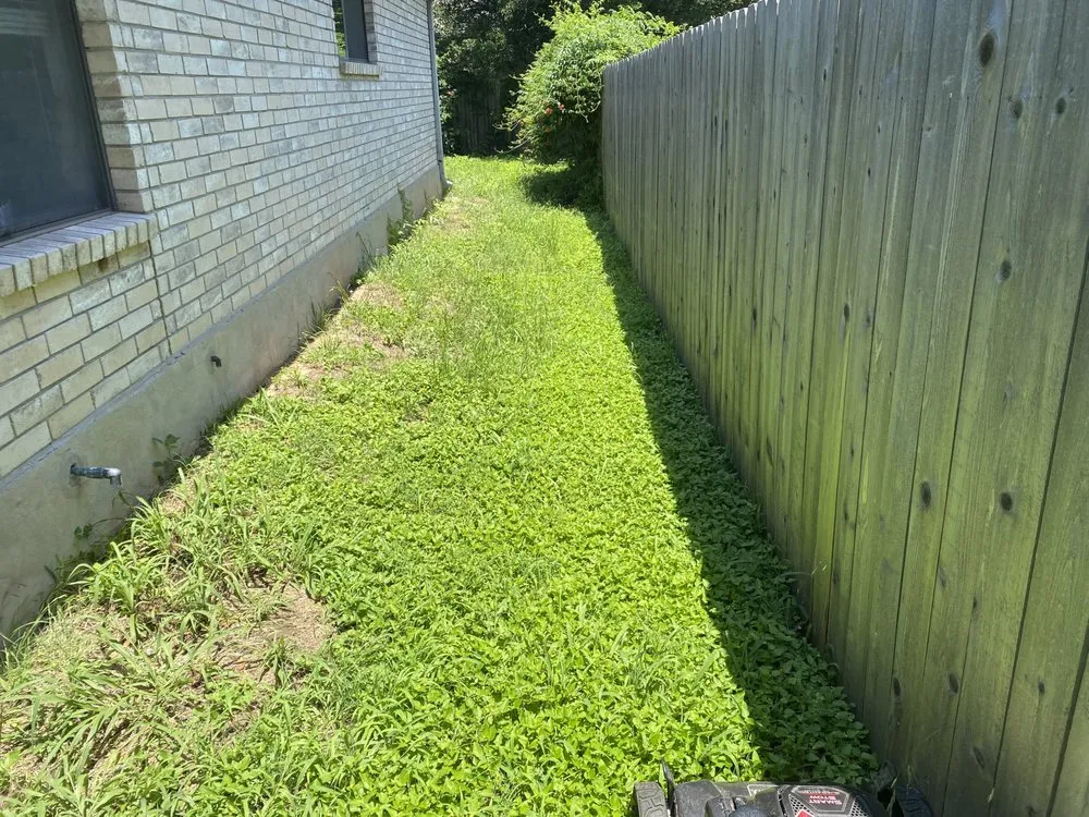 Expert residential landscaping in Leander, TX - Pacheco Lawn Service