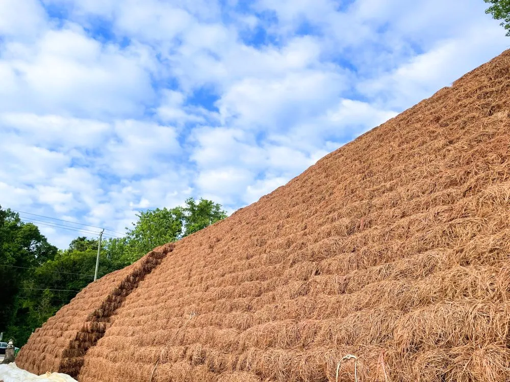 Trusted yard cleanup service experts serving Tallahassee, FL - pacheco pinestraw