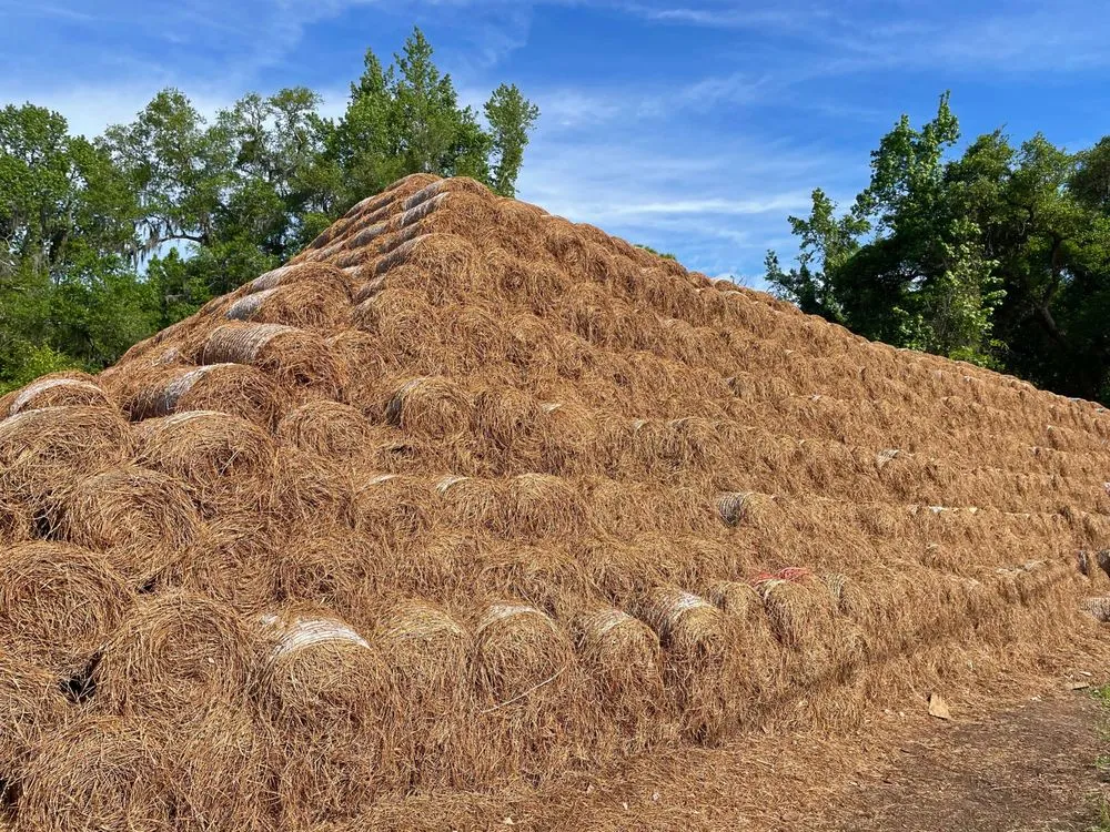 Trusted garden landscaping for outdoor upgrades in Tallahassee, FL by pacheco pinestraw