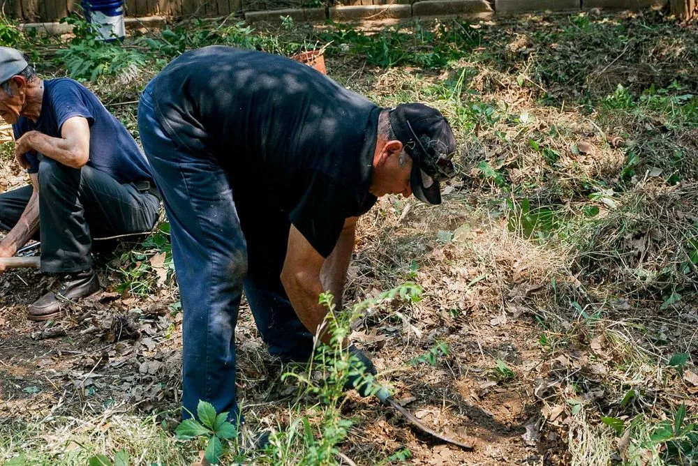 Trusted garden landscaping for beautiful yards across Fort Worth, TX - Pacheco’s Cleaning And Landscaping