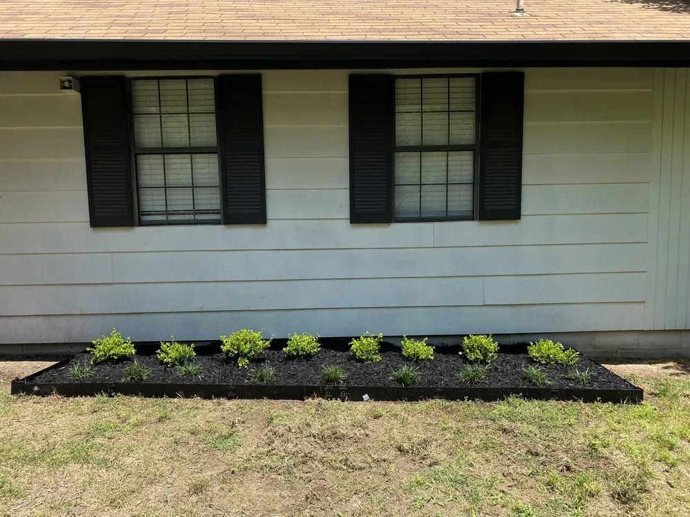 Affordable yard maintenance experts serving Fort Worth, TX - Pacheco’s Cleaning And Landscaping