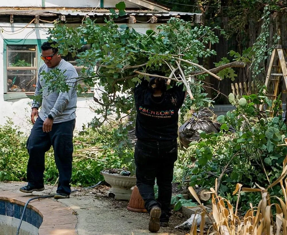 Trusted residential landscaping in Fort Worth, TX - Pacheco’s Cleaning And Landscaping