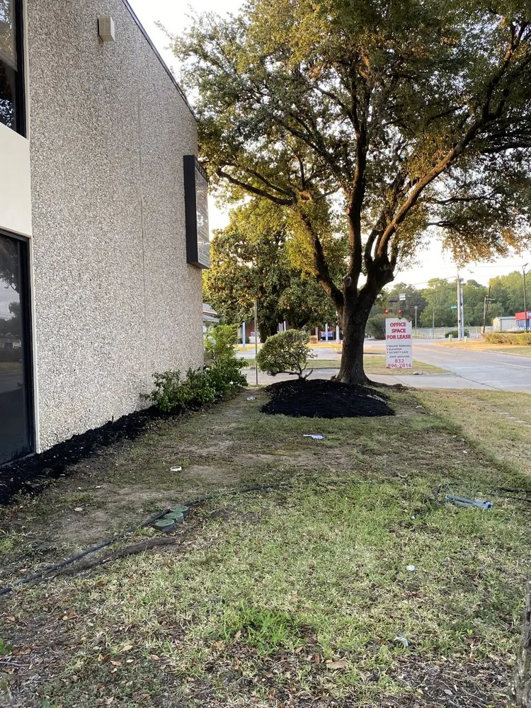 Affordable landscape installation for homes across Houston, TX - Pacheco’s Landscaping