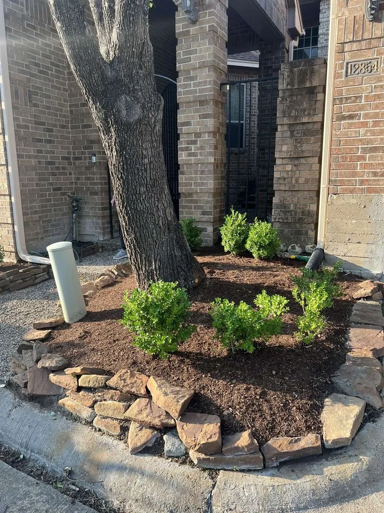 Top-rated landscaping services in Houston, TX by Pacheco’s Landscaping