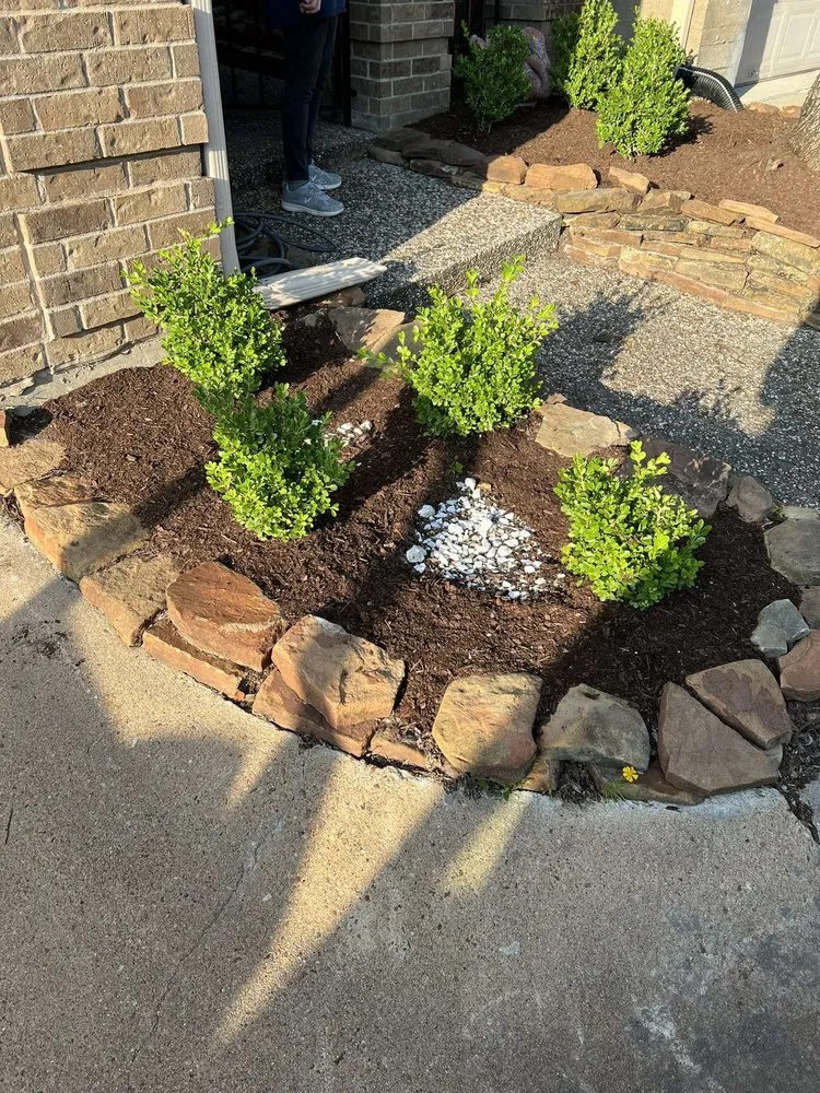 Local lawn care service in Houston, TX by Pacheco’s Landscaping