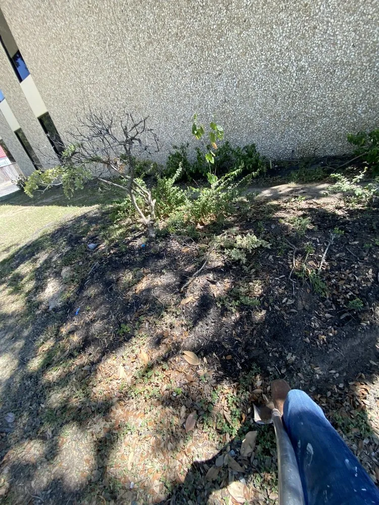 Top-rated lawn care service experts serving Houston, TX - Pacheco’s Landscaping