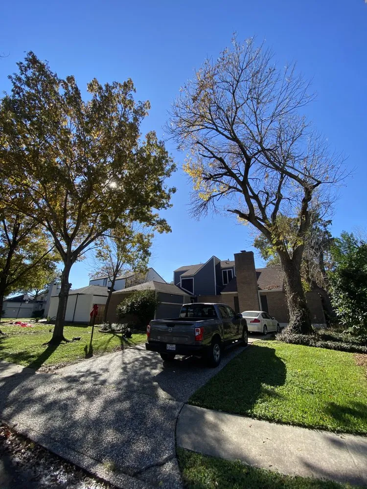 Affordable lawn care service experts serving Houston, TX - Pacheco’s Landscaping