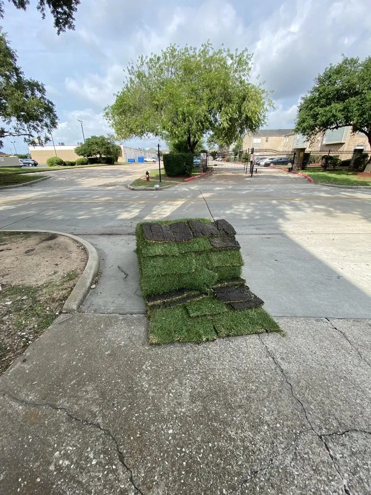 Trusted yard maintenance in Houston, TX - Pacheco’s Landscaping