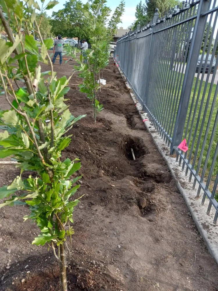 Trusted landscape design for residential properties across Lehi, UT - Pacheco's Landscaping