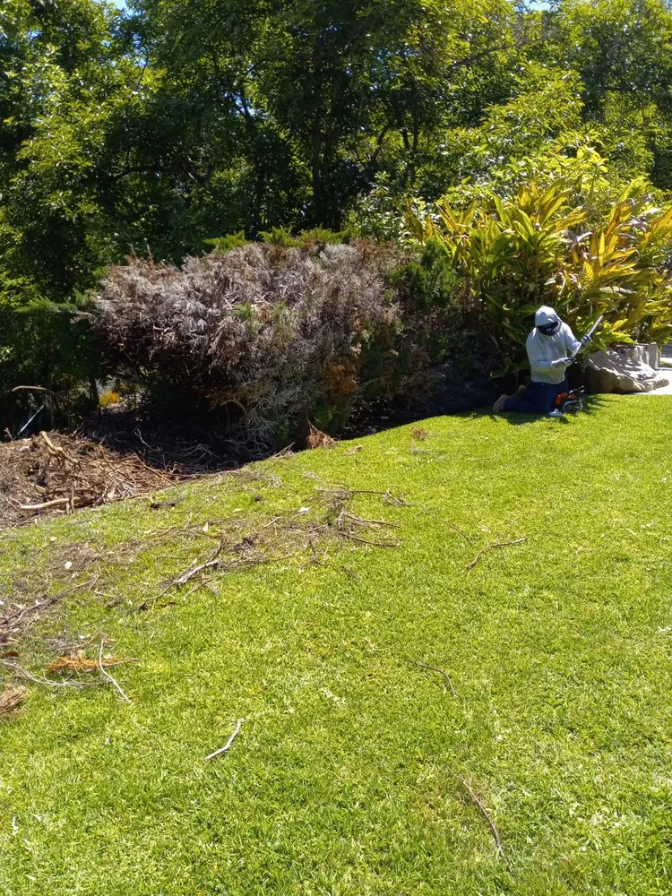 Top-rated outdoor landscaping experts serving Lehi, UT - Pacheco's Landscaping