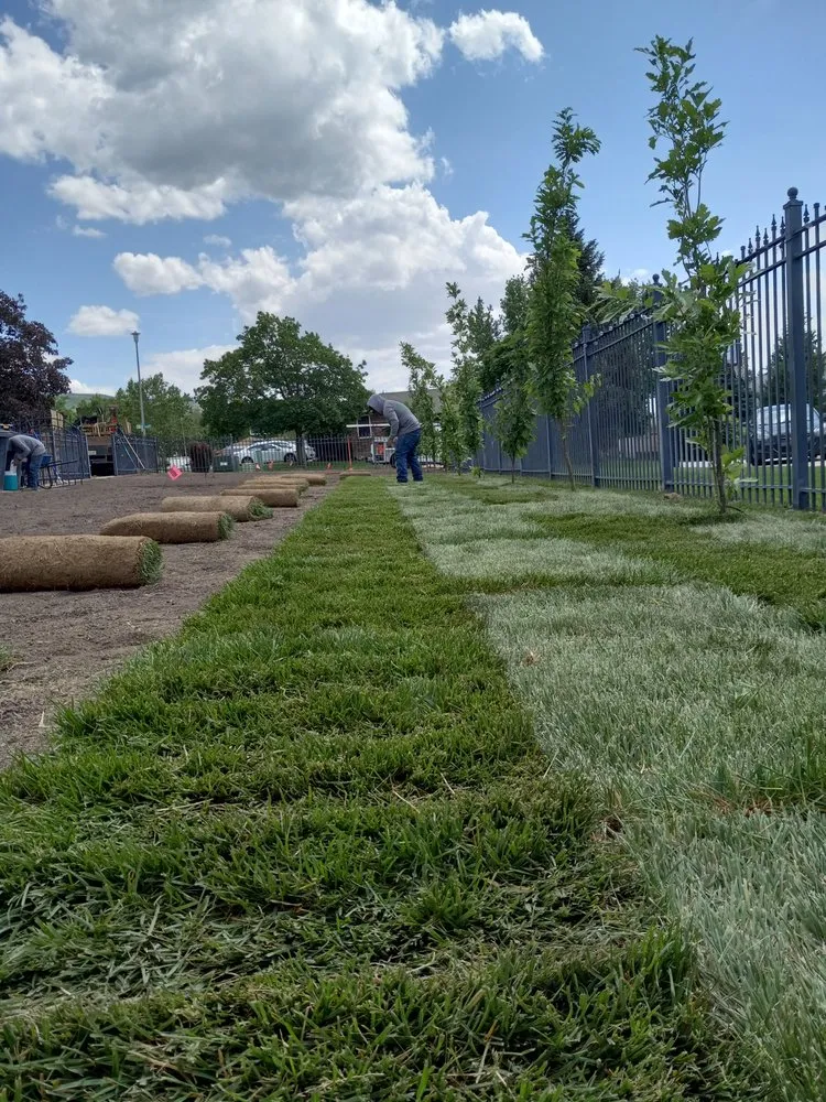 Trusted landscape installation in Lehi, UT - Pacheco's Landscaping