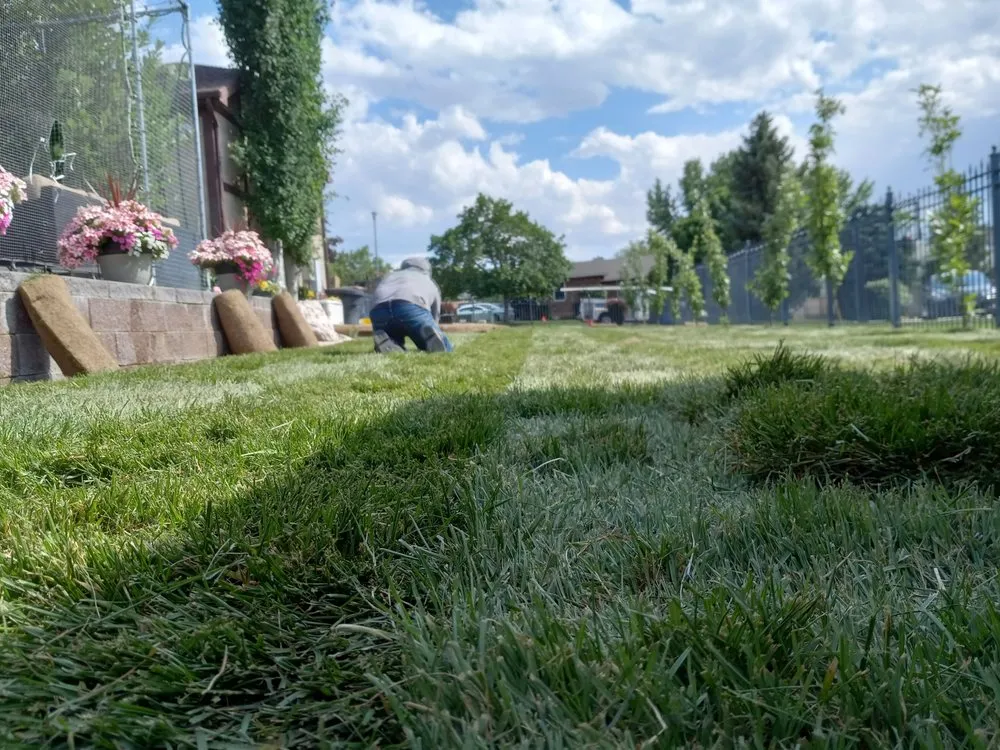 Local yard cleanup service in Lehi, UT - Pacheco's Landscaping