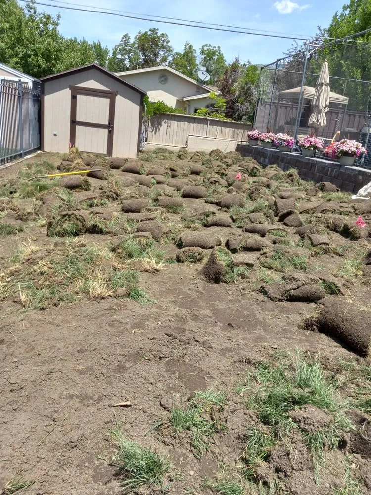 Expert yard cleanup service in Lehi, UT by Pacheco's Landscaping