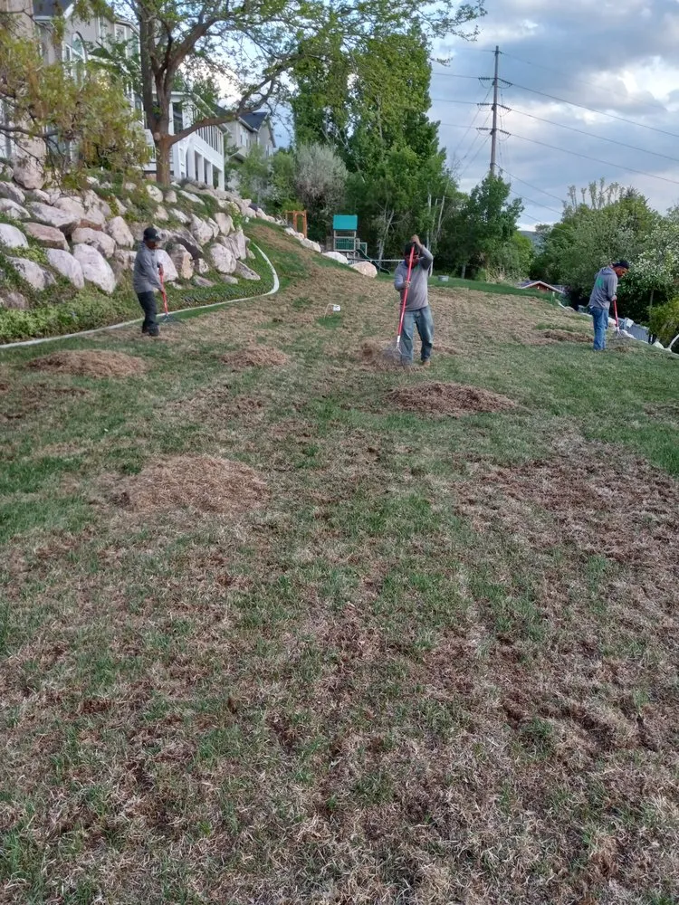 Top-rated yard cleanup service experts serving Lehi, UT - Pacheco's Landscaping