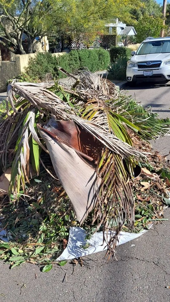 Expert landscape installation in San Diego, CA - Pacheco's Landscaping