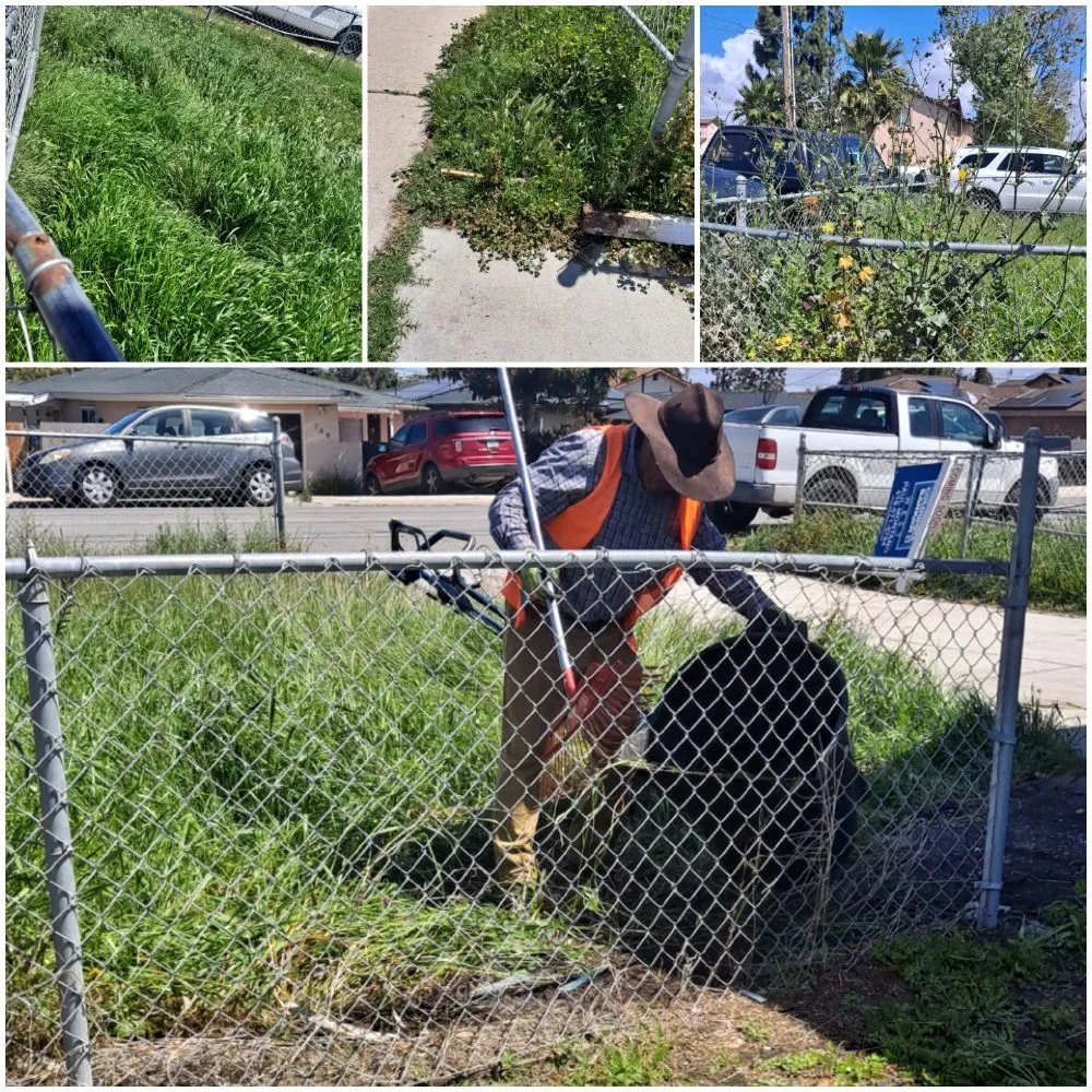 Custom lawn care service experts serving San Diego, CA - Pacheco's Landscaping