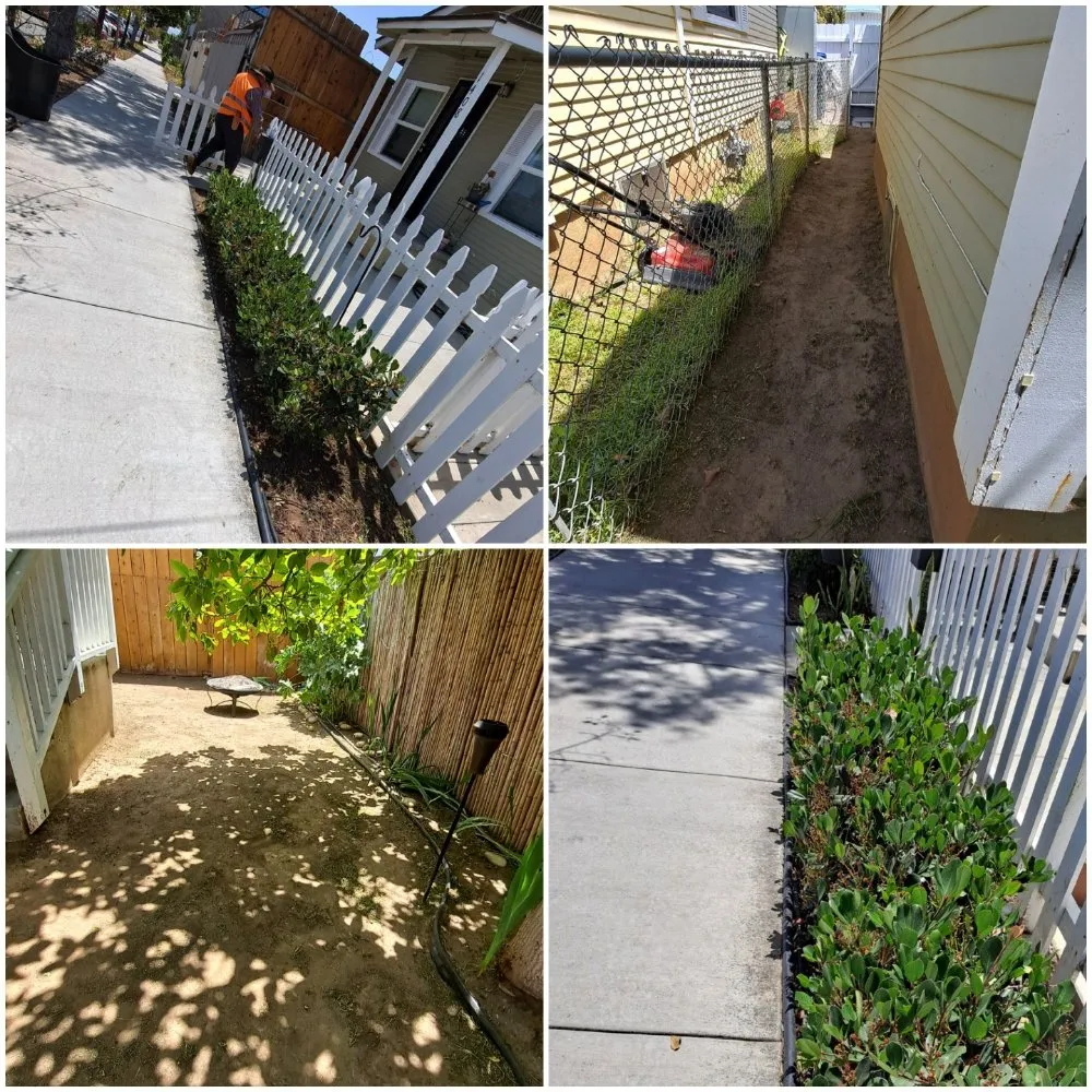 Local yard maintenance experts serving San Diego, CA - Pacheco's Landscaping