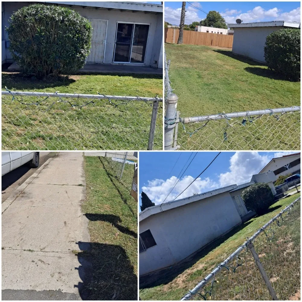 Affordable lawn mowing service in San Diego, CA by Pacheco's Landscaping