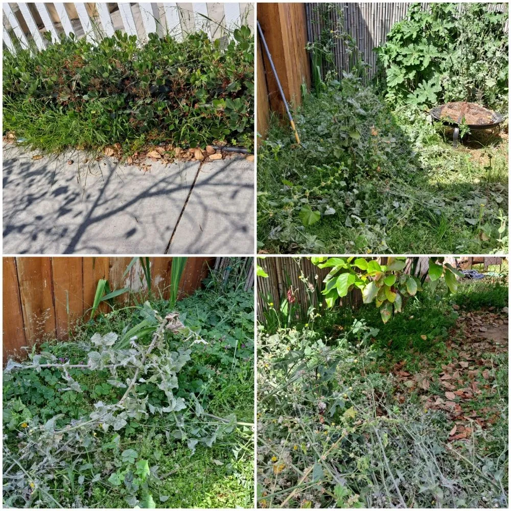 Reliable outdoor landscaping in San Diego, CA by Pacheco's Landscaping