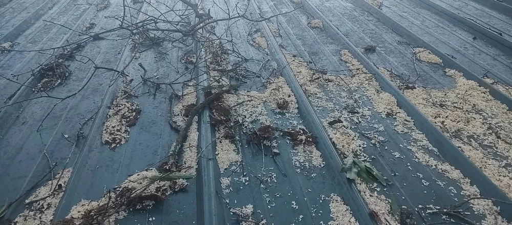 Expert lawn mowing service for beautiful yards in China Grove, NC by Pacheco's Lawn Care and Tree Service