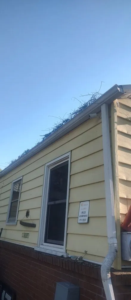 Local lawn mowing service experts serving China Grove, NC - Pacheco's Lawn Care and Tree Service