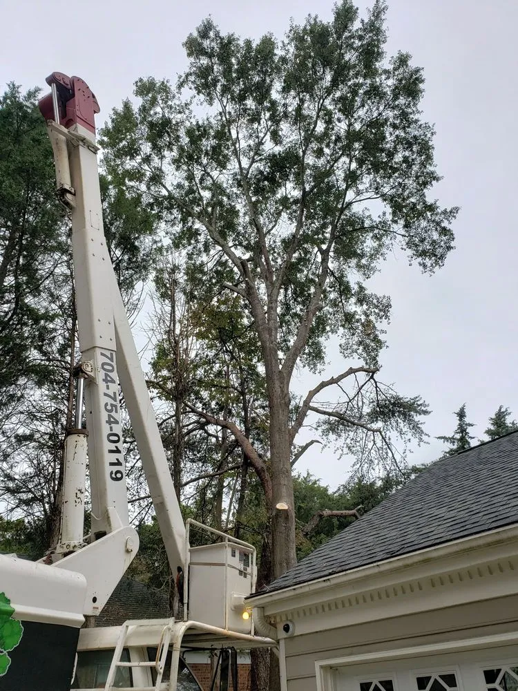 Reliable landscape design experts serving China Grove, NC - Pacheco's Lawn Care and Tree Service