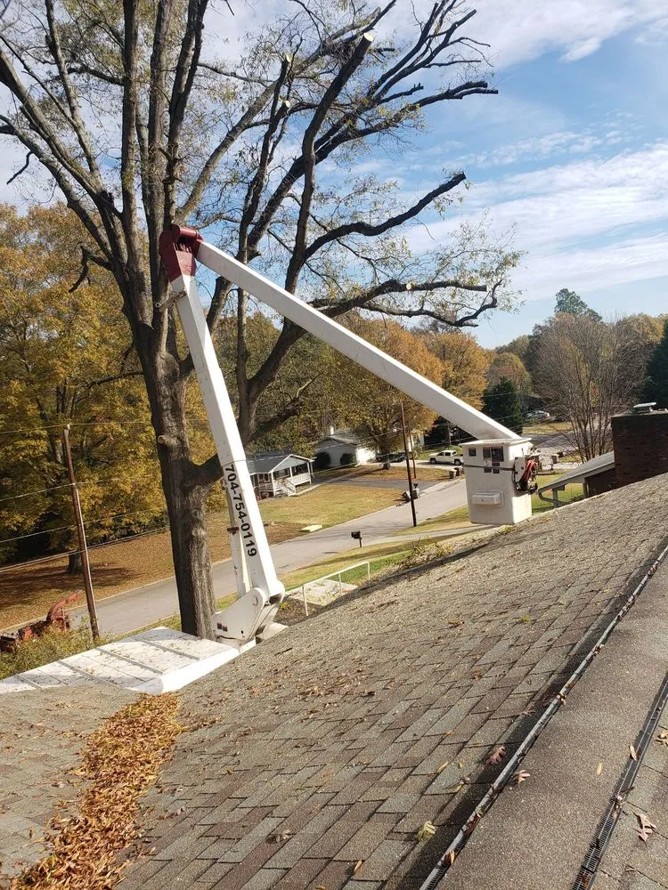 Reliable landscape design for beautiful yards in China Grove, NC by Pacheco's Lawn Care and Tree Service