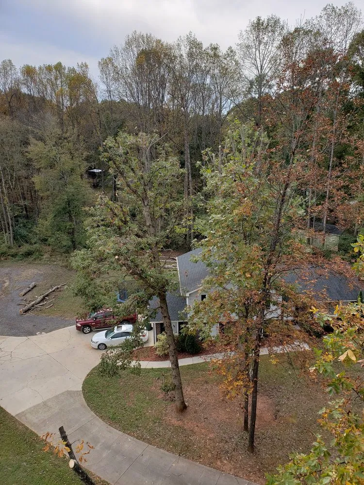 Custom yard maintenance experts serving China Grove, NC - Pacheco's Lawn Care and Tree Service