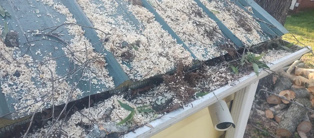 Reliable yard maintenance in China Grove, NC by Pacheco's Lawn Care and Tree Service