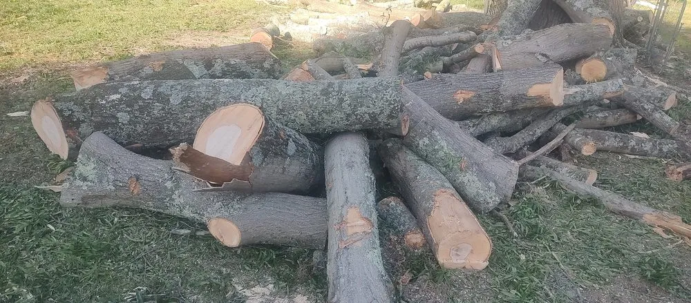 Top-rated yard maintenance in China Grove, NC by Pacheco's Lawn Care and Tree Service