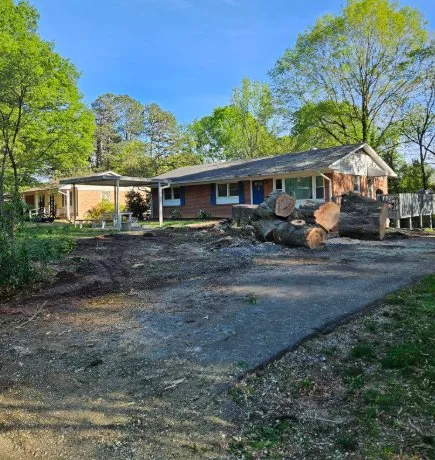 Local yard maintenance for outdoor upgrades in China Grove, NC by Pacheco's Tree Service