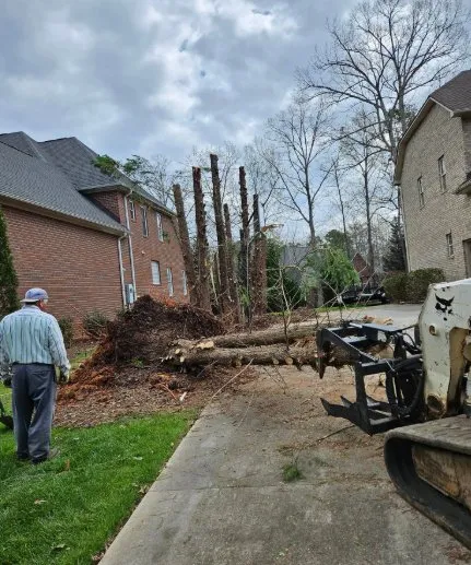 Trusted residential landscaping experts serving China Grove, NC - Pacheco's Tree Service