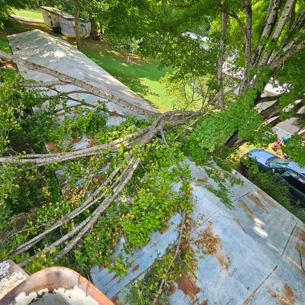 Custom outdoor landscaping with custom design across China Grove, NC - Pacheco's Tree Service