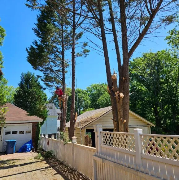 Local residential landscaping near you across China Grove, NC - Pacheco's Tree Service